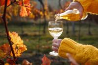 35+ beer, wine and cocktail events for savoring the fall