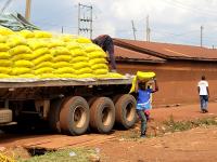 Uganda’s journey from sugar shortage to regional supplier