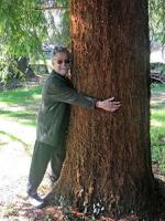 Commentary: Consider adding new trees to Northwest forests: Redwoods and sequoias