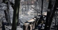Politics looms over Colorado’s latest plea for help on fires after Trump shot down earlier disaster aid requests