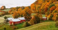 The Kentucky farmer who taught me how to live