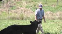 Kentucky farmers question President Trump's plan to rollback meat regulations