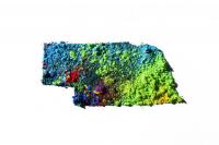 After successful DMV pilot, Nebraska expands Tyler Technologies AI tools statewide