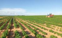 Zimbabwe: Learning from China to enhance land reform