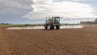 How new herbicide is helping tackle Italian ryegrass
