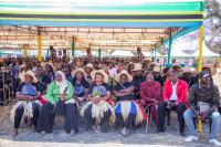 Tanzania registers 71,183 traditional medicine practitioners