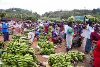 Prof Shemdoe settles disputes involving 30 traders at Mabibo Market