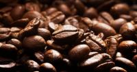 Keeping up with demand: Vietnam taps global partnerships to advance sustainable coffee production