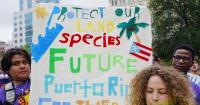 Documentary about Puerto Rico’s new ‘billionaire settlement’ – and its environmental impacts – screens in CT