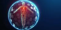 Optimal Midlife Vascular Health Adds Up to Nearly 13 Dementia‑Free Survival Years