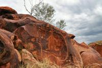 Aboriginal Rock Art Grew Giant as Colonizers Arrived, New Arnhem Land Study Finds