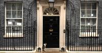 Tourists duped into booking fake stays at 10 Downing Street on Booking.com