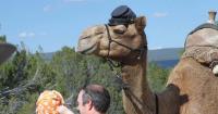 U.S. Camel Corps Commemoration returns to El Morro National Monument September 12-13, 2026