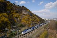 Seoul–Busan Fare Hits $40 as Korea Merges KTX and SRT; No Enforcement If Fares Rise Later