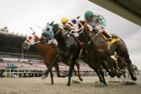 California Moves to Transform Shuttered Horse Track Into New Bay Area Public Park