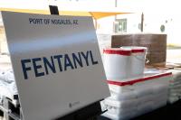What If We Paid Suppliers to Keep Precursor Chemicals Out of the Illicit Market?