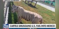 Cartels allegedly cash in on reverse fuel smuggling from US to Mexico