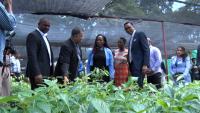 ReLeaf TT Programme Targets 236,000 Trees In Forest Restoration Drive