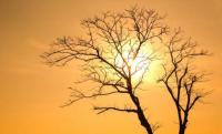 Southern Africa Is Being Warned Twice And Should Listen Both Times