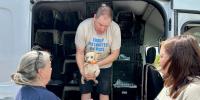 Nearly 90 dogs, 2 kittens rescued from Missouri breeding operations brought to Tennessee
