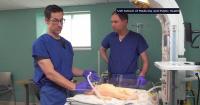 UW researchers develop AI tool to help train doctors in critical newborn airway procedure