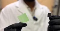 University of Waterloo researchers look to nature to improve renewable energy storage