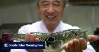 Japan’s deadliest delicacy is getting more dangerous