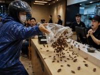 Man Dumps 100 Live Cockroaches at Popular Taiwan Restaurant