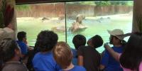 Honolulu Zoo Unveils Upgraded Exhibits, Targets Giant Pandas from China