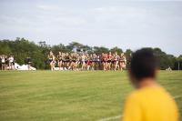 Iowa third-year Hillary Trainor shows steady growth with Hawkeye cross country