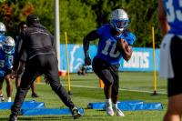 Detroit Lions place RB2 on injured reserve, bring back veteran tight end