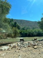 Namibia: Drought displaced Angolans face human rights abuses 