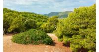 Environmental conference in Evros focuses on climate resilience and reconstruction