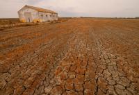 Europe regulates food safety but not food survival