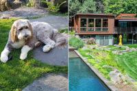 New York Couple Spent Nearly $3 Million Renovating Home for Their Dog Before Listing It on the Market
