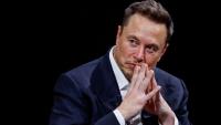 'It will be game over': Elon Musk warns sustainable energy alone won't save humanity