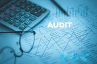What the latest audit of Ascension Parish government shows