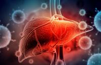 Alcohol-related liver cancer deaths were falling. Then the trend reversed during the COVID-19 pandemic
