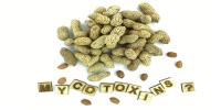 German survey finds limited mycotoxin awareness