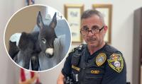 No explanation for why Georgia cop shot dead beloved miniature donkey HeeHaw