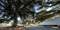 Film, production studio wants DeKalb County to allow data center construction