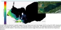 Researchers investigate harmful effects of Lake Erie algal bloom toxins