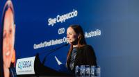 Government urged to avoid SMEs being left behind by AI