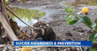 Suicide Prevention and Awareness Month highlights mental health in Hawaii’s agriculture industry