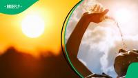 ‘Very strong’ El Niño could bring scorching heat and dry conditions to South Africa