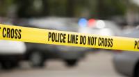 One killed and 4 injured, including 3 children, in crash following police pursuit in South Carolina