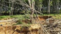 Editorial: Galamsey: Are We Not Losing Ghana?