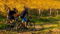 7 Autumn Bike Trips to Take Around Czechia