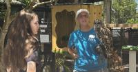 Peace River Wildlife Center hosts farewell celebration at Ponce de Leon Park