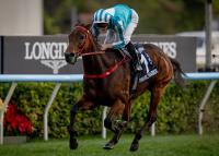 Hong Kong Champion Romantic Warrior Retired from Racing